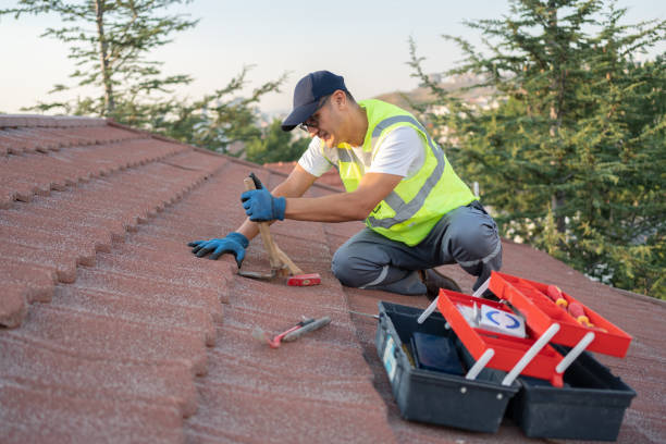 Roof Insulation